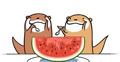 娱乐吃瓜号会不会侵权呢,风险与合规的边界探索